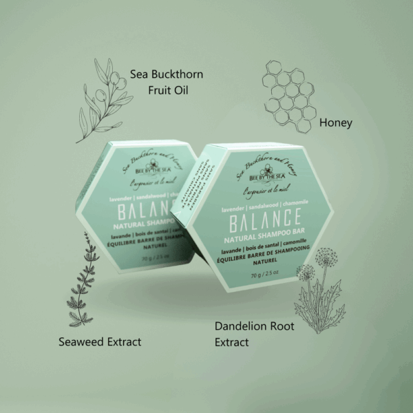 Bee By The Sea Balance Shampoo Bar