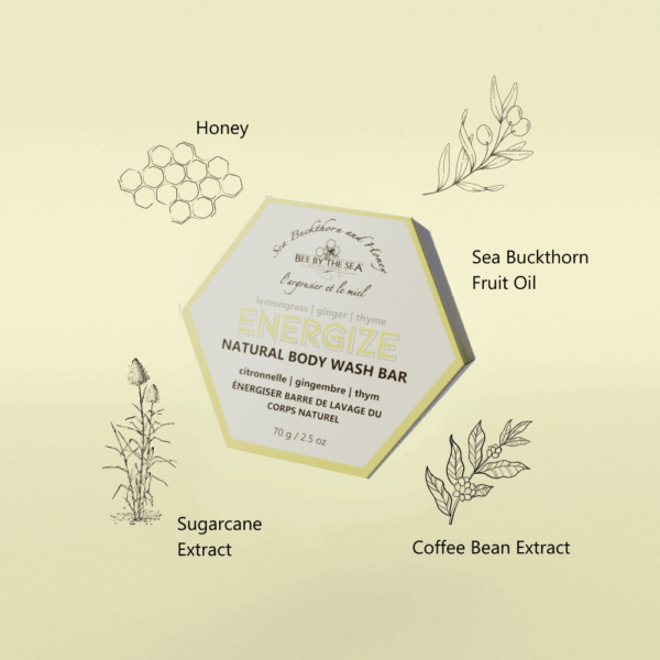 Bee By The Sea Energize Body Wash Bar